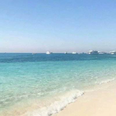 金沙集团186CC下载手机版